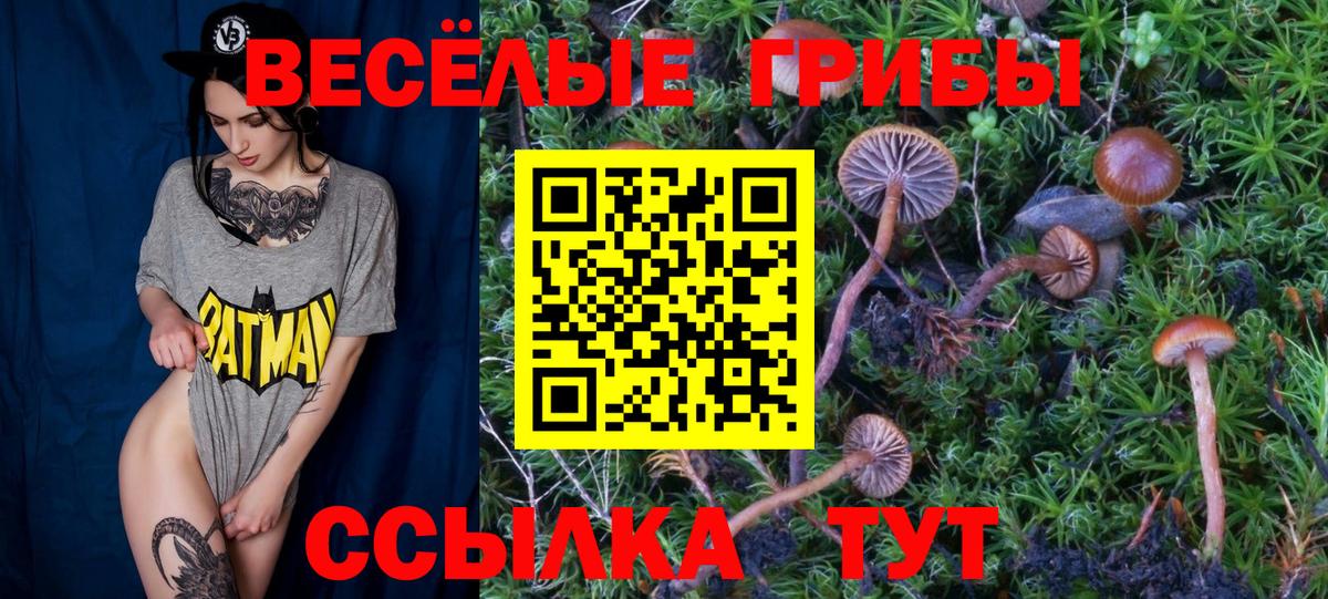 Псилоцибиновые грибы Magic Shrooms  закладка  Еманжелинск  Вход с VPN  Галлюциногенные грибы Magic Shrooms 