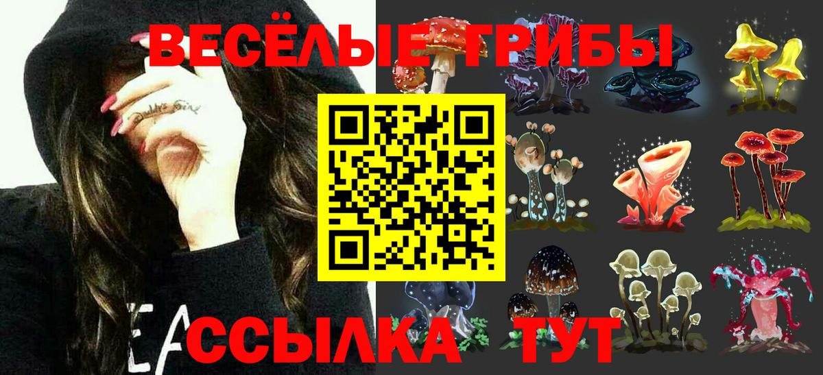Галлюциногенные грибы прущие грибы Еманжелинск